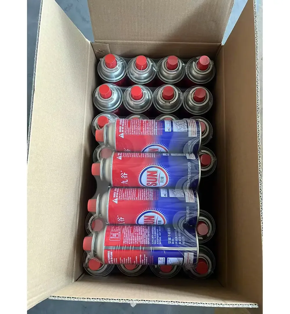 Thùng carton mở nắp chứa các lon gas mini xếp đứng ngay ngắn